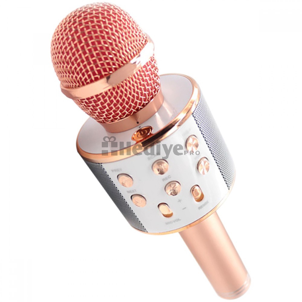 Bluetooth Karaoke Mikrofon WS-858